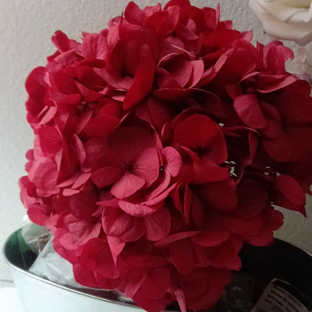Elegant Red Floral Mixed Media Art Piece